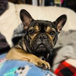 Rosie Maria Whitehead - @rosieroe_yo - Instagram