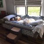 Rosie Wolfe - @rosiewolfe47 - Instagram