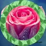 Roslyn Brady - Facebook
