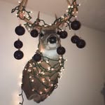 Rosalyn Davidson Ray - @rosd83 - Instagram
