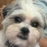 Roslyn James - @winston.james0905 - Instagram