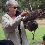 Roslyn Morrow - @urangan1961 - Instagram