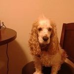 Roslyn Pearson - @roslyn.pearson.31 - Instagram