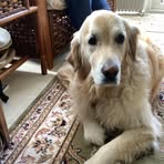 Roslyn Wilson - Facebook