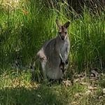 Roslyn Wilson - @roslyn.wilson.733 - Instagram