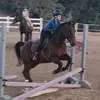 roslynnwilson4 - @roslynnwilson4 - TikTok
