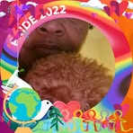 Roslyn Witt - Facebook