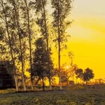 Rosni Singh - @_rosni_singh - Instagram