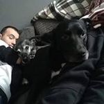 Ross Adair - @ross.adair - Instagram