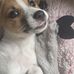 Ross Adamson - Facebook