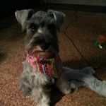 Becky Ross Akers - @becky.r.akers.5 - Instagram