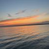 Anthony.Ross - @anthony.ross21 - TikTok