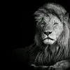 Ross Lopez Aragon - @ross.lopez.aragon - TikTok