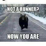 Ross Argue - @rossaargue - Instagram