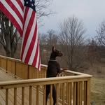 Ross Arndt - @rarndt1700 - Instagram