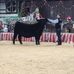 Ross Arthur - Facebook