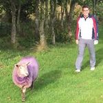 Ross Atkinson - @rossaatkinson - Instagram