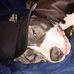 Ryan Ross-avery - Facebook