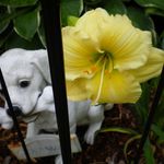Ross Ballard - @rossballard124 - Instagram