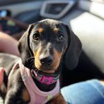 Ross Ballard - @77rossco - Instagram