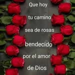 Ross Barrera - @rossbarrera1 - Instagram