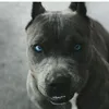 Rose Bartholomew - @rosebartholomew - TikTok