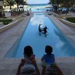 Ross Bauer - @bauerre - Instagram
