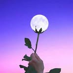 Ross Beck - Facebook