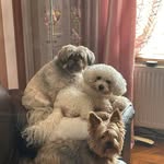 Ross Beck - @rossbeck58 - Instagram