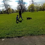 Ross Beckett - @beckettross - Instagram