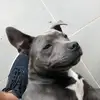 Ross Brace - @rossbrace - TikTok