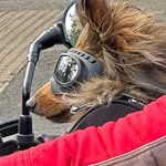 Ross Burger - @srossburger - Instagram