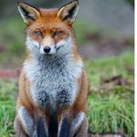Rosscompton.1 - @rosscompton.1 - Instagram