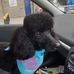 Ross Ovington - Facebook