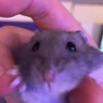 Ross Douglas - @ross_dog123 - Instagram