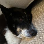 Ross Dowd - @radowd1971 - Instagram