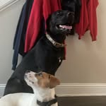 Ross&Drake - @rossxxdrake - Instagram