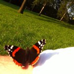 Ross Eddy - @rawce - Instagram