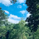 Rosanne Nicolosi Fenstermaker - @rosenosit - Instagram