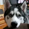 Ross Fischer - @rossfischer2 - TikTok