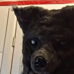 Ross Goodrich - @cold__369 - Instagram