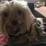 Sally Ross Goodrich - @goodrichsally - Instagram