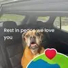 Angie Gould Ross - @angie.gould.ross - TikTok