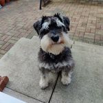 Ross Grubb - @ross.grubb - Instagram