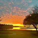 Cindy Ross Gustafson - @cindy.r.gustafson - Instagram