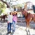 Rossana Hecht Glez-paul - Facebook
