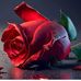 Ross Hernandez - Facebook
