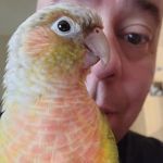Dallas Ross Hicks - @hicksdallas - Instagram