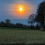@ross_____hicks - Instagram