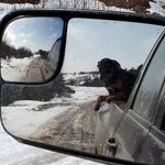 Ross Hicks - @ross.hicks.921 - Instagram